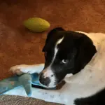 i am not happy
