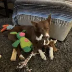my toys