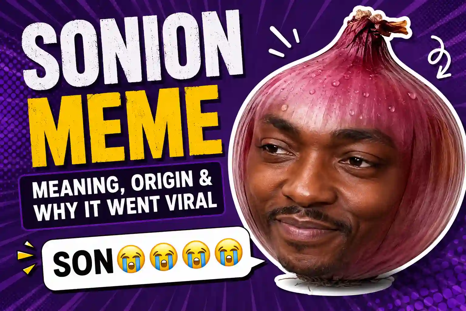Sonion Meme